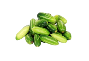 Ivy gourd - टिंडी - ટિંડોડા